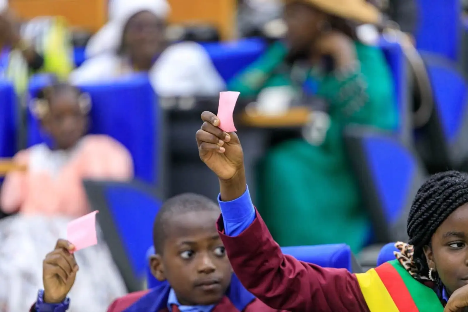 Un vote à main levée en séance plénière